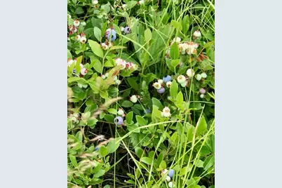 Lot 13B Pleasant Hill Road, Brunswick, ME 04011 - Photo 25