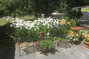 482 Back Rd, Shapleigh, ME 04076 - Photo 69