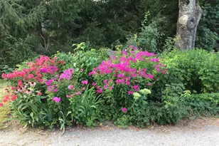 482 Back Rd, Shapleigh, ME 04076 - Photo 77