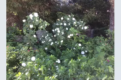 482 Back Road, Shapleigh, ME 04076 - Photo 81