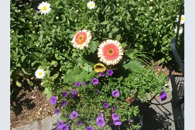 482 Back Road, Shapleigh, ME 04076 - Photo 79