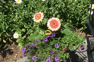 482 Back Rd, Shapleigh, ME 04076 - Photo 79