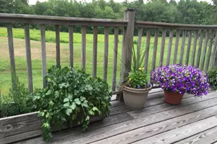 482 Back Rd, Shapleigh, ME 04076 - Photo 67