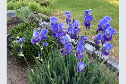 482 Back Road, Shapleigh, ME 04076 - Photo 77