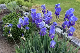 482 Back Rd, Shapleigh, ME 04076 - Photo 77