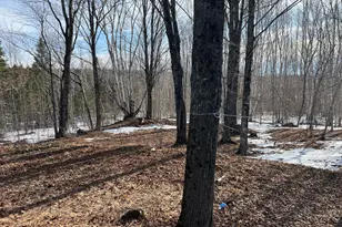 200 Clark Rd, Patten, ME 04765 - Photo 11