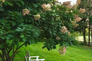 51 Flaggy Meadow Rd, Gorham, ME 04038 - Photo 49