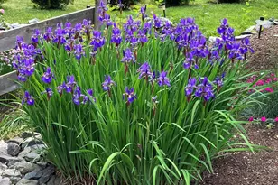 177 Buck St, Bangor, ME 04401 - Photo 13