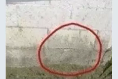 401 Canaan Road, Pittsfield, ME 04967 - Photo 11