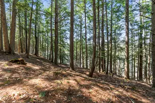 569 Middle Rd, Dresden, ME 04342 - Photo 53