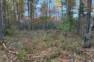 Lot 16 (2) Whittier Rd, Farmington, ME 04938 - Photo 1