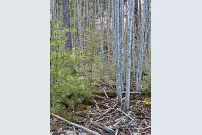 M8 L36 Bigelow Hill Road, Skowhegan, ME 04976 - Photo 13