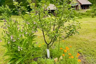 334 Johnson Rd, Auburn, ME 04210 - Photo 57