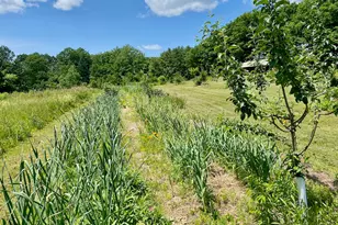 334 Johnson Rd, Auburn, ME 04210 - Photo 53