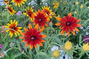 334 Johnson Rd, Auburn, ME 04210 - Photo 65