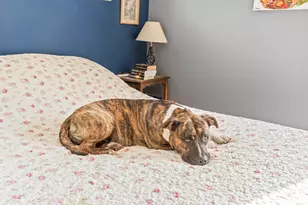 54 Lower Beach Rd, Windham, ME 04062 - Photo 21