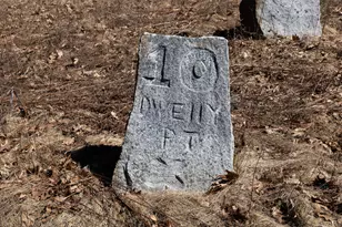 10 Dwelly Point Rd, Franklin, ME 04634 - Photo 31