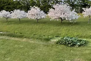 188 Mill Hill Rd, Waterford, ME 04088 - Photo 5