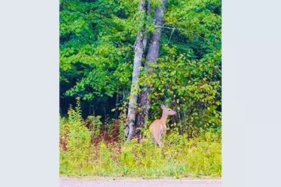 28 Moose Creek Drive, Newport, ME 04953 - Photo 19