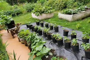 131 Main St, Van Buren, ME 04785 - Photo 37