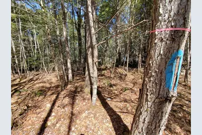 0 Cody Way, Lakeville, ME 04487 - Photo 35