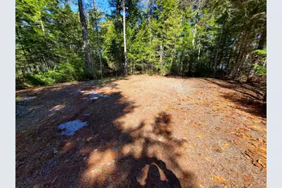 0 Cody Way, Lakeville, ME 04487 - Photo 7