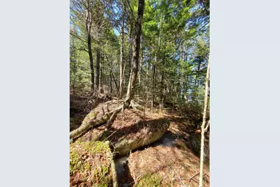 0 Cody Way, Lakeville, ME 04487 - Photo 37