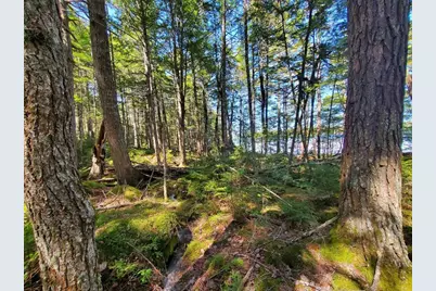 0 Cody Way, Lakeville, ME 04487 - Photo 39