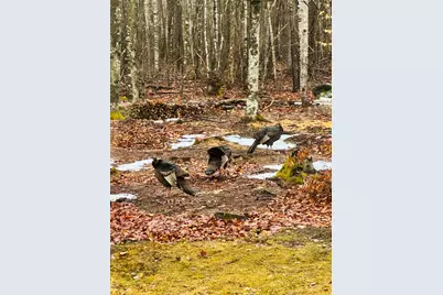 1180 Great Moose Drive, Hartland, ME 04943 - Photo 25