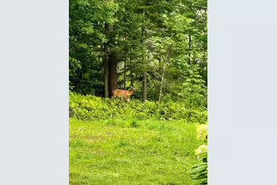 224 Tolman Road, Warren, ME 04864 - Photo 75