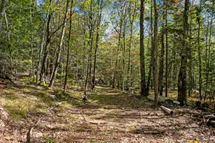 847 Middlesex Rd, Topsham, ME 04086 - Photo 69