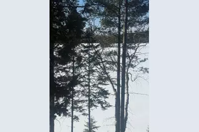 1021 S Shore Road, Stockholm, ME 04783 - Photo 3