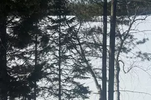 1021 S Shore Rd, Stockholm, ME 04783 - Photo 3