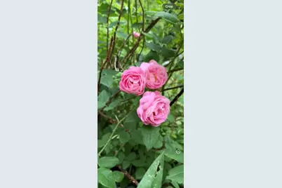 27 Turner Street, Buckfield, ME 04220 - Photo 31