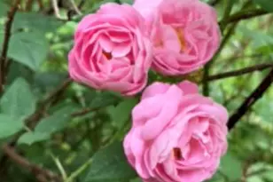 27 Turner St, Buckfield, ME 04220 - Photo 31