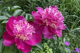 27 Turner St, Buckfield, ME 04220 - Photo 27