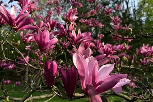 27 Turner St, Buckfield, ME 04220 - Photo 29