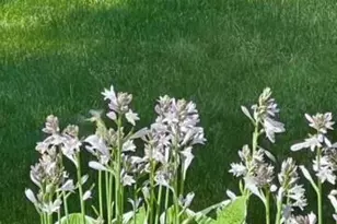 43 Darling Parke Dr, Bangor, ME 04401 - Photo 101