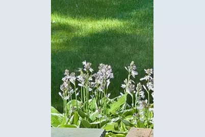 43 Darling Parke Drive, Bangor, ME 04401 - Photo 93