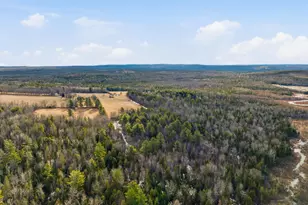 53 Kulas Rd, Parkman, ME 04443 - Photo 45