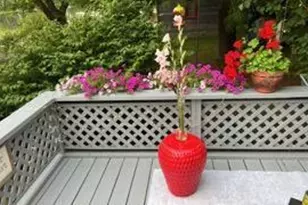 13 River St, Princeton, ME 04668 - Photo 9