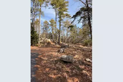0 Balsam Lane, Mount Desert, ME 04660 - Photo 7