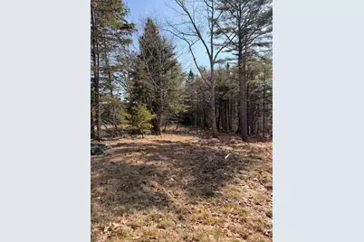 0 Balsam Lane, Mount Desert, ME 04660 - Photo 5