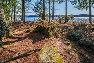 148 Meadowbrook Ln, Naples, ME 04055 - Photo 165