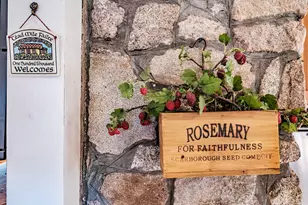 148 Meadowbrook Ln, Naples, ME 04055 - Photo 137