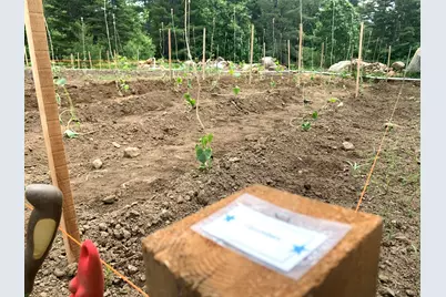 286 Lexington Road, Kingfield, ME 04947 - Photo 21