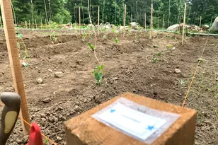 286 Lexington Rd, Kingfield, ME 04947 - Photo 21