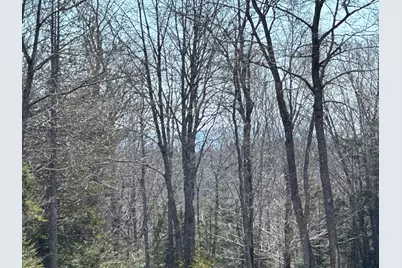 Lot #0 Morgan Bay Road, Surry, ME 04684 - Photo 11