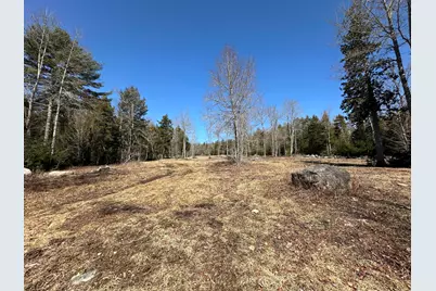Lot #0 Morgan Bay Road, Surry, ME 04684 - Photo 13