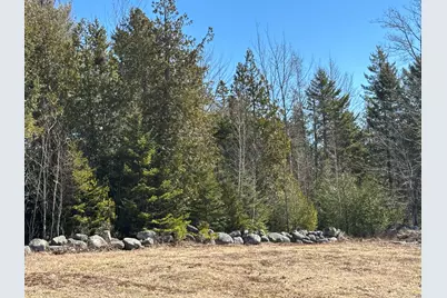 Lot #0 Morgan Bay Road, Surry, ME 04684 - Photo 7